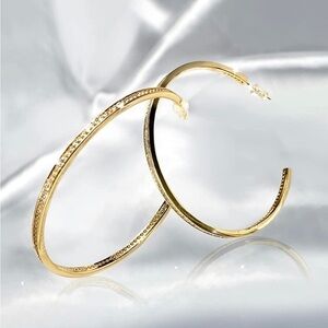 HOOP 18K Gold Plated Hoop Rhinestone Earrings